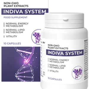 InDiva System