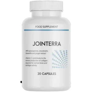 Jointerra